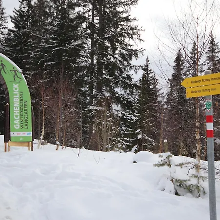 Vroni By Interhome Fließ