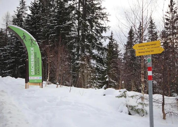 Vroni By Interhome Fliess